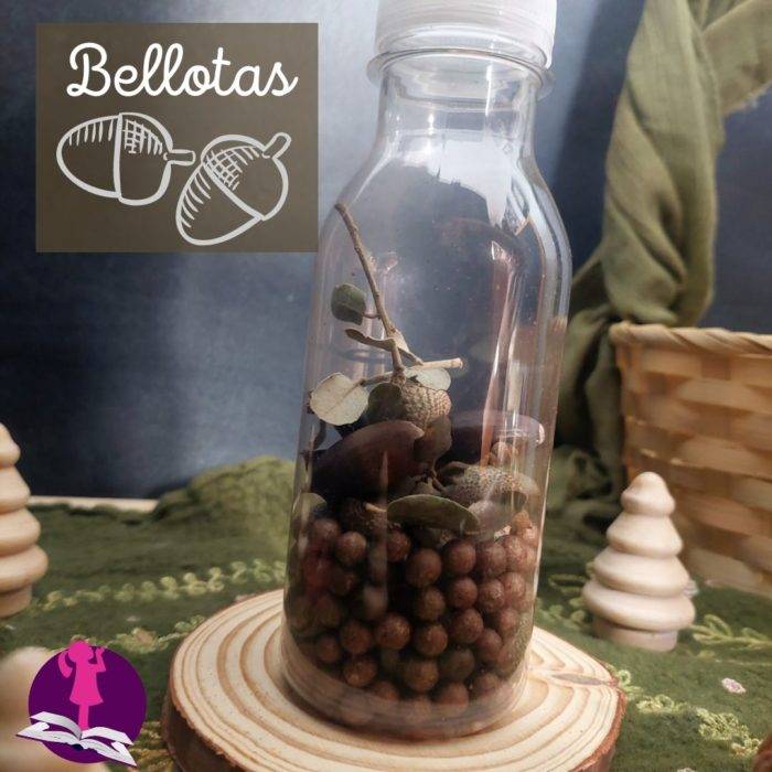 Botella Sensorial de Otoño con Bellotas